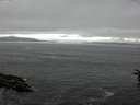 ./images/koeye/fitz-hugh/20160710/fitz-hugh20160710_080006.jpg