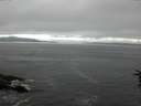 ./images/koeye/fitz-hugh/20160710/fitz-hugh20160710_080302.jpg