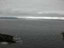 ./images/koeye/fitz-hugh/20160710/fitz-hugh20160710_083303.jpg