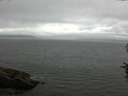 ./images/koeye/fitz-hugh/20160710/fitz-hugh20160710_100302.jpg