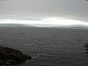 ./images/koeye/fitz-hugh/20160710/fitz-hugh20160710_121802.jpg