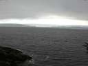./images/koeye/fitz-hugh/20160710/fitz-hugh20160710_122403.jpg