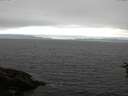 ./images/koeye/fitz-hugh/20160710/fitz-hugh20160710_123301.jpg