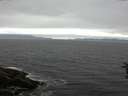 ./images/koeye/fitz-hugh/20160710/fitz-hugh20160710_130303.jpg