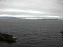 ./images/koeye/fitz-hugh/20160710/fitz-hugh20160710_143302.jpg