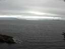 ./images/koeye/fitz-hugh/20160710/fitz-hugh20160710_150302.jpg