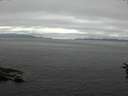 ./images/koeye/fitz-hugh/20160710/fitz-hugh20160710_160003.jpg