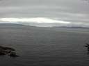 ./images/koeye/fitz-hugh/20160710/fitz-hugh20160710_160302.jpg