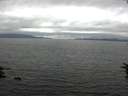 ./images/koeye/fitz-hugh/20160710/fitz-hugh20160710_173303.jpg