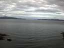 ./images/koeye/fitz-hugh/20160711/fitz-hugh20160711_053302.jpg