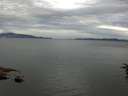 ./images/koeye/fitz-hugh/20160711/fitz-hugh20160711_073302.jpg