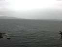 ./images/koeye/fitz-hugh/20160711/fitz-hugh20160711_180003.jpg