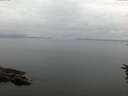 ./images/koeye/fitz-hugh/20160712/fitz-hugh20160712_050302.jpg
