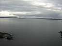 ./images/koeye/fitz-hugh/20160712/fitz-hugh20160712_080301.jpg