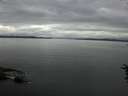 ./images/koeye/fitz-hugh/20160712/fitz-hugh20160712_083301.jpg