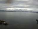 ./images/koeye/fitz-hugh/20160712/fitz-hugh20160712_090302.jpg