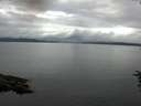 ./images/koeye/fitz-hugh/20160712/fitz-hugh20160712_100006.jpg