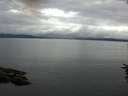 ./images/koeye/fitz-hugh/20160712/fitz-hugh20160712_100301.jpg