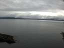 ./images/koeye/fitz-hugh/20160712/fitz-hugh20160712_103303.jpg