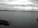 ./images/koeye/fitz-hugh/20160712/fitz-hugh20160712_110303.jpg