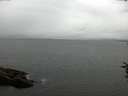 ./images/koeye/fitz-hugh/20160712/fitz-hugh20160712_113303.jpg