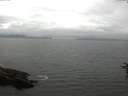 ./images/koeye/fitz-hugh/20160712/fitz-hugh20160712_120302.jpg