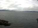 ./images/koeye/fitz-hugh/20160712/fitz-hugh20160712_122103.jpg