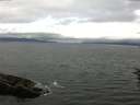 ./images/koeye/fitz-hugh/20160712/fitz-hugh20160712_130303.jpg