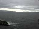 ./images/koeye/fitz-hugh/20160712/fitz-hugh20160712_153302.jpg