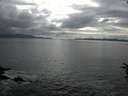 ./images/koeye/fitz-hugh/20160712/fitz-hugh20160712_173302.jpg