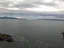 ./images/koeye/fitz-hugh/20160713/fitz-hugh20160713_080005.jpg