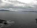 ./images/koeye/fitz-hugh/20160713/fitz-hugh20160713_083301.jpg