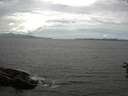./images/koeye/fitz-hugh/20160713/fitz-hugh20160713_150302.jpg