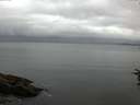 ./images/koeye/fitz-hugh/20160714/fitz-hugh20160714_053302.jpg