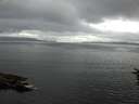 ./images/koeye/fitz-hugh/20160714/fitz-hugh20160714_083303.jpg