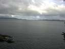 ./images/koeye/fitz-hugh/20160714/fitz-hugh20160714_093301.jpg