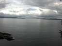 ./images/koeye/fitz-hugh/20160714/fitz-hugh20160714_110301.jpg