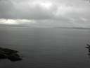 ./images/koeye/fitz-hugh/20160714/fitz-hugh20160714_123302.jpg