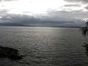 ./images/koeye/fitz-hugh/20160714/fitz-hugh20160714_180303.jpg