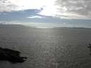 ./images/koeye/fitz-hugh/20160715/fitz-hugh20160715_170303.jpg