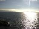 ./images/koeye/fitz-hugh/20160715/fitz-hugh20160715_180302.jpg
