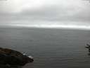 ./images/koeye/fitz-hugh/20160716/fitz-hugh20160716_053301.jpg