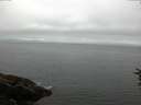 ./images/koeye/fitz-hugh/20160716/fitz-hugh20160716_060302.jpg