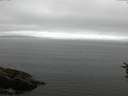 ./images/koeye/fitz-hugh/20160716/fitz-hugh20160716_073301.jpg