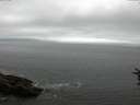 ./images/koeye/fitz-hugh/20160716/fitz-hugh20160716_080302.jpg
