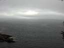 ./images/koeye/fitz-hugh/20160716/fitz-hugh20160716_093302.jpg