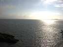./images/koeye/fitz-hugh/20160716/fitz-hugh20160716_180004.jpg