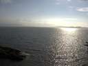 ./images/koeye/fitz-hugh/20160716/fitz-hugh20160716_180303.jpg