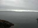 ./images/koeye/fitz-hugh/20160717/fitz-hugh20160717_063302.jpg