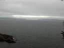 ./images/koeye/fitz-hugh/20160717/fitz-hugh20160717_100302.jpg